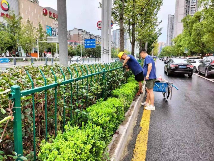 四川省-達州市-草坪護欄